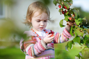 Adorable toddler girl picking raspberries