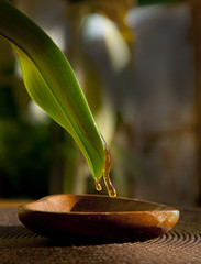 BIENENHONIG RINNT ÜBERS BLATT