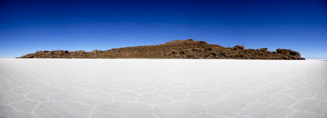 Incahuasi, l'ile aux cactus, Salar de Uyuni en Bolivie
