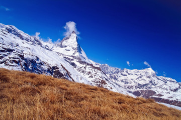 Matterhorn peak with dry meadow Switzerland, Side Perspective