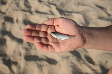 Fisch in der Hand2