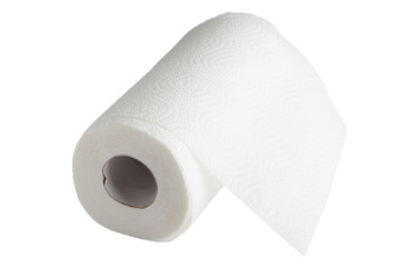 Absorbent paper towel