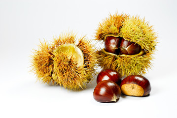 castagne