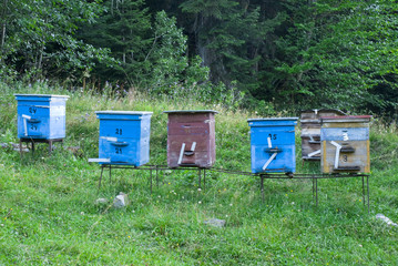 Color wooden bee hives