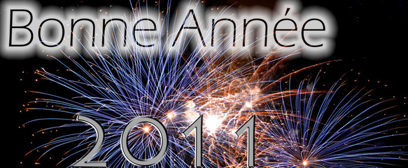 Bonne Année 2011