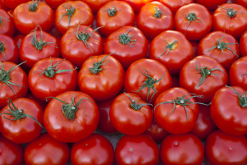 Świeże czerwone pomidory na targu