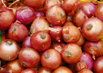 close up of onion