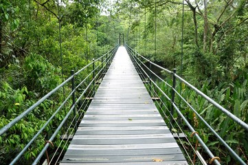Naklejka premium Puente sobre la selva de Costa Rica