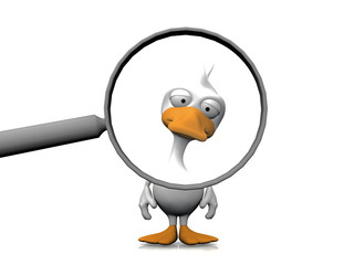 canard à la loupe