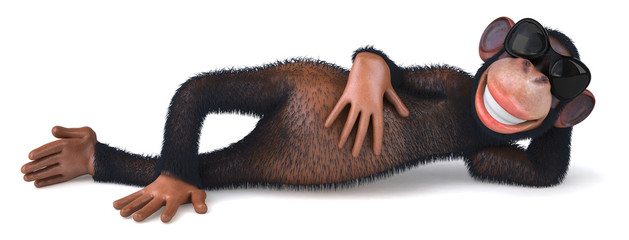 Cool monkey © Julien Tromeur