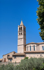 Fototapeta na wymiar St. Chiara Basilica Belltower. Assisi. Umbria.