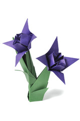 Origami flowers over white