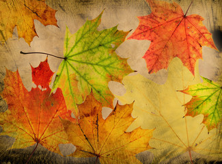 Grunge autumn background