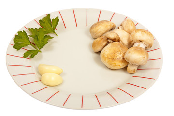 Dish with mushrooms, parsley and garlic