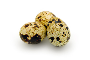 quail eggs