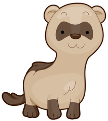 Cute Ferret