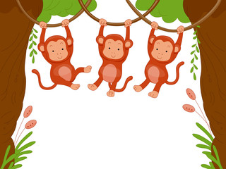 Monkeys
