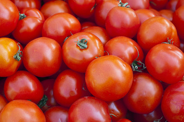 Świeże smaczne pomidory na targu