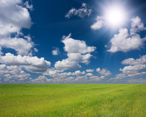 green grass and blue sky