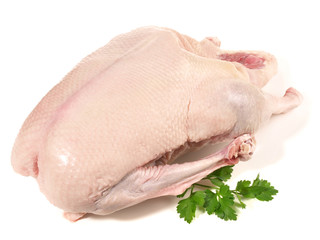 Rohe Gans © ExQuisine
