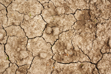 Dry ground