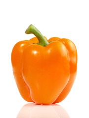 Paprika - orange