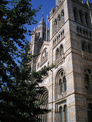 Fototapeta premium natural history museum