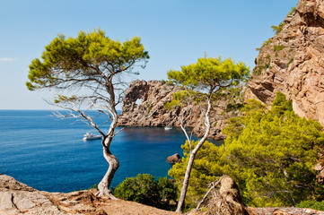 Mallorca -Bucht
