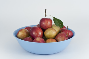 Cesto de manzanas 3