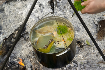 Cooking fish soup on the fire