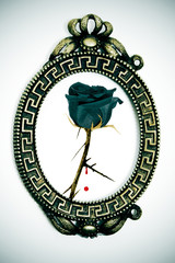emo rose