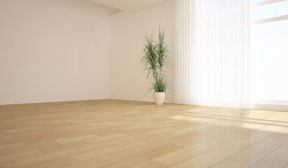 white empty room with flower