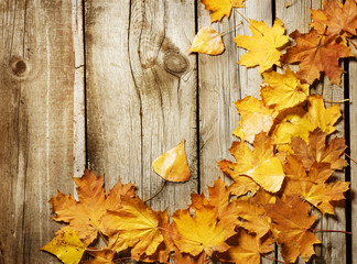 Naklejka na ściany i meble Autumn Leaves na background.with miejsca kopiowania drewna