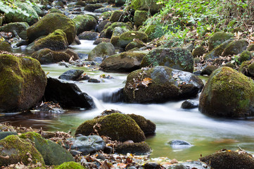 Stream 2