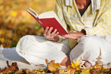 lesen im herbstwald
