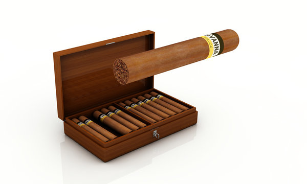 zigarren im humidor 2
