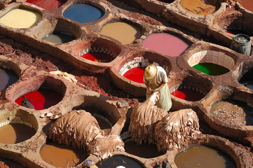 Leather tanning in Fes, Morocco - 26669257