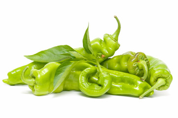 ecological peppers