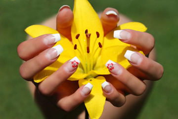 hand mit gelber blume © panthesja