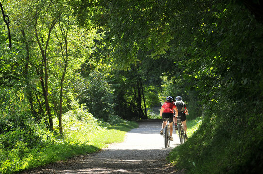 Escursione in mountain bike