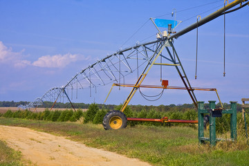 Irrigation in Country