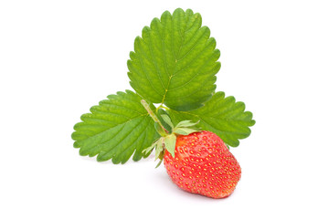 Fresh strawberry fruit with green leaves