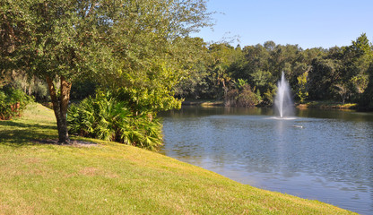 Obraz premium Panoramic view of a lake and a forest