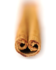 Cinnamon stick