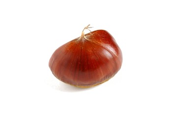 栗