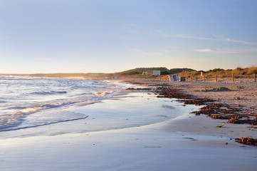 Sandy beach at sunset. - 26678092