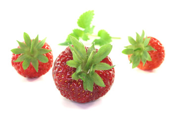 Erdbeeren