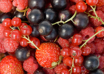 Ripe garden berries as a background