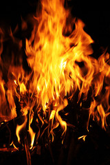 Burning flame or fire isolated on black background