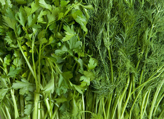 Dill and parsley.